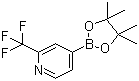 structure of CAS# 1036990-42-7, 2-Trifluoromethylpyridine-4-boronic acid pinacol ester