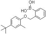 structure of CAS# 1072951-76-8, [2-[[4-(叔丁基)-2-甲基苯氧基]甲基]苯基]硼酸
