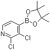 structure of CAS# 1073353-78-2, 2,3-Dichloropyridine-4-boronic acid pinacol ester