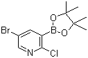 structure of CAS# 1073354-79-6, 5-溴-2-氯吡啶-3-硼酸频哪醇酯