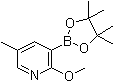 structure of CAS# 1083168-84-6, 2-甲氧基-5-甲基吡啶-3-硼酸频哪醇酯