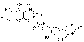 CAS # 108320-87-2, Uridine 5'-(trihydrogen diphosphate) P'-[2-(acetylamino)-2-deoxy-alpha-D-galactopyranosyl] ester disodium salt