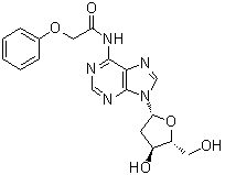 structure of CAS# 110522-74-2, N-(苯氧基乙酰基)-2'-脱氧腺苷