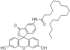 structure of CAS# 110698-53-8, 5-N-(Octadecanoyl)aminofluorescein