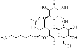 CAS 登录号：1159604-40-6, 5-氨基戊基 O-6-脱氧-alpha-L-吡喃半乳糖基-(1→3)-O-[beta-D-吡喃半乳糖基-(1→4)]-2-(乙酰氨基)-2-脱氧-beta-D-吡喃葡萄糖苷