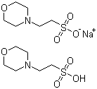 structure of CAS# 117961-21-4, 2-(N-Morpholino)ethanesulfonic acid hemisodium salt