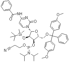 CAS 登录号：118380-84-0, N4-苯甲酰基-5'-O-(4,4'-二甲氧基三苯甲基)-2'-O-叔丁基二甲基硅烷基)胞苷 3'-O-[O-(2-氰基乙基)-N,N'-二异丙基氨基亚磷酸酯]