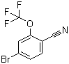 structure of CAS# 1187983-97-6, 4-溴-2-(三氟甲氧基)苯腈