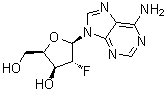 CAS # 123334-75-8, 9-(2-Deoxy-2-fluoro-beta-D-xylofuranosyl)-9H-purin-6-amine