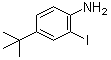 structure of CAS# 128318-63-8, 2-碘-4-叔丁基苯胺