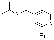CAS # 1289386-60-2, 2-Bromo-N-(1-methylethyl)-4-pyridinemethanamine, N-[(2-Bromopyridin-4-yl)methyl]propan-2-amine