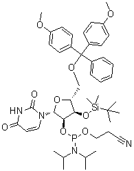 CAS # 129451-77-0, 5'-O-[Bis(4-methoxyphenyl)phenylmethyl]-3'-O-[(1,1-dimethylethyl)dimethylsilyl]-Uridine 2'-[2-cyanoethyl N,N-bis(1-methylethyl)phosphoramidite]