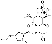 CAS 登录号：1309349-64-1, 3'(6')-去氢克林霉素磷酸酯