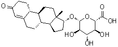 CAS # 131749-24-1, (17beta)-3-Oxoestr-4-en-17-yl beta-D-glucopyranosiduronic acid, (17beta)-3-��������-4-ϩ-17-��beta-D-�����������