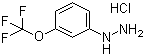 structure of CAS# 133115-55-6, 3-三氟甲氧基苯肼盐酸盐