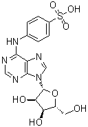 structure of CAS# 143668-15-9, 4-[(9-beta-D-呋喃核糖基-9H-嘌呤-6-基)氨基]苯磺酸