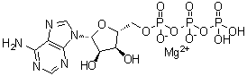 CAS 登录号：1476-84-2, 三磷酸腺苷镁盐