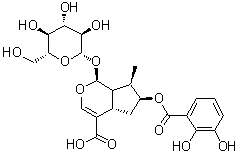 CAS # 157722-21-9, (1S,4aS,6S,7R,7aS)-6-[(2,3-Dihydroxybenzoyl)oxy]-1-(beta-D-glucopyranosyloxy)-1,4a,5,6,7,7a-hexahydro-7-methylcyclopenta[c]pyran-4-carboxylic acid, Gentiournoside D