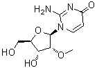 CAS # 175471-65-5, 2-Amino-1-(2-O-methyl-beta-D-ribofuranosyl)-4(1H)-pyrimidinone