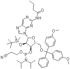 CAS 登录号：179558-91-9, N-[9-[5-O-[二(4-甲氧基苯基)苯基甲基]-3-O-[[二异丙基氨基](2-氰基乙氧基)膦基]-2-O-[(叔丁基)二甲基硅烷基]-beta-D-呋喃核糖基]-9H-嘌呤-2-基]丁酰胺