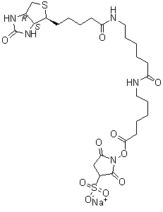 CAS 登录号：194041-66-2, 6-[[6-[[5-[(3aS,4S,6aR)-六氢-2-氧代-1H-噻吩并[3,4-d]咪唑-4-基]-1-氧代戊基]氨基]-1-氧代己基]氨基]-己酸 2,5-二氧代-3-磺基-1-吡咯烷基酯钠盐