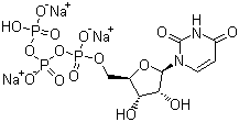 structure of CAS# 19817-92-6, 尿苷-5'-三磷酸三钠盐