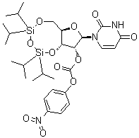CAS 登录号：202533-73-1, 3',5'-O-[1,1,3,3-四异丙基-1,3-二硅氧烷二基]尿苷 2'-(4-硝基苯基碳酸酯)