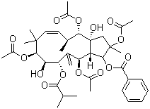 CAS 登录号：210108-88-6, 麻风树碱 4, 2,5,9,14-四乙酰氧基-3-苯甲酰基氧基-8,15-二羟基-7-异丁酰氧基-6(17),11E-麻风树属二烯