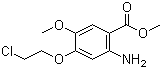 CAS 登录号：214470-60-7, 2-氨基-4-(2-氯乙氧基)-5-甲氧基苯甲酸甲酯