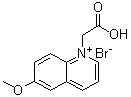CAS # 216672-37-6, 1-(Carboxymethyl)-6-methoxyquinolinium bromide