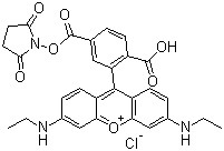 structure of CAS# 216699-36-4, 6-Carboxy-X-rhodamine succinimidyl ester