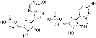 structure of CAS# 24939-03-5, Polyinosinic acid-polycytidylic acid