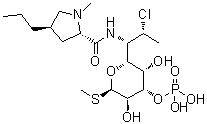 CAS # 28708-34-1, Clindamycin 3-phosphate, (2S-trans)-Methyl 7-chloro-6,7,8-trideoxy-6-[[(1-methyl-4-propyl-2-pyrrolidinyl)carbonyl]amino]-1-thio-L-threo-alpha-D-galacto-octopyranoside 3-(dihydrogen phosphate)
