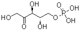 CAS 登录号：2922-69-2, L-核酮糖 5-磷酸酯