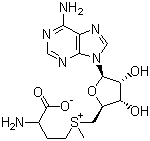structure of CAS# 29908-03-0, S-Adenosyl-L-methionine