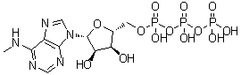 CAS # 3130-39-0, N6-Monomethyladenosine 5'-triphosphate, N-Methyladenosine 5'-(tetrahydrogen triphosphate), 6-N-Methyladenosine 5'-triphosphate, N6-Methyl-ATP, N6-Methyladenosine 5'-triphosphate
