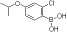 structure of CAS# 313545-47-0, 2-氯-4-异丙氧基苯硼酸