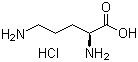 structure of CAS# 3184-13-2, L(+)-Ornithine hydrochloride