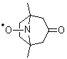 CAS # 34061-60-4, 1,5-Dimethyl-3-oxo-8-azabicyclo[3.2.1]oct-8-yloxy