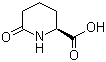 structure of CAS# 34622-39-4, (S)-6-Oxo-2-piperidinecarboxylic acid