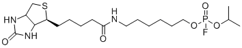 CAS # 353754-93-5, Isopropyl (6-(5-((4S)-2-oxohexahydro-1H-thieno[3,4-d]imidazol-4-yl)pentanamido)hexyl) phosphorofluoridate, N-[6-[fluoro(propan-2-yloxy)phosphoryl]oxyhexyl]-5-[(4S)-2-oxo-1,3,3a,4,6,6a-hexahydrothieno[3,4-d]imidazol-4-yl]pentanamide