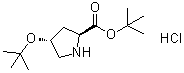 structure of CAS# 367453-05-2, (4R)-4-(叔丁氧基)-L-脯氨酸叔丁酯盐酸盐