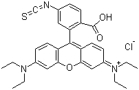 structure of CAS# 36877-69-7, Rhodamine B isothiocyanate