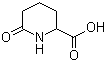 structure of CAS# 3770-22-7, 6-Oxopiperidine-2-carboxylic acid