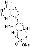 structure of CAS# 37839-81-9, 腺苷-3',5'-环磷酸酯钠