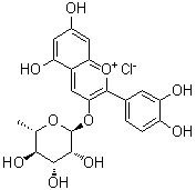CAS 登录号：38533-30-1, 矢车菊素 3-鼠李糖苷