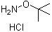 structure of CAS# 39684-28-1, O-tert-Butylhydroxylamine hydrochloride