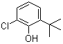 CAS # 4237-37-0, 2-tert-Butyl-6-chlorophenol, NSC 203031