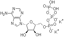 CAS # 42373-41-1, Adenosine 5'-triphosphate dipotassium salt