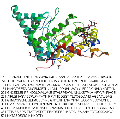 structure of CAS# 488712-31-8, Hyaluronidase (sheep testis isoenzyme)